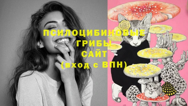 ешки Грязовец