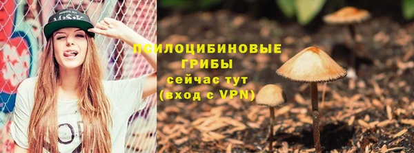 шишки Волгодонск
