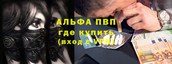мдпв Краснослободск