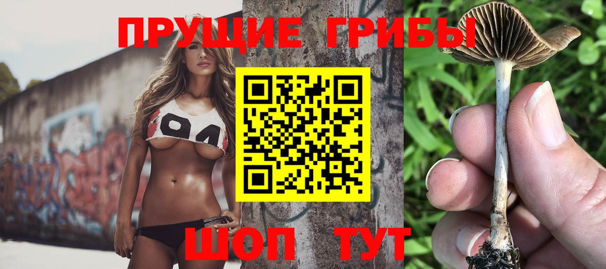 Псилоцибиновые грибы мухоморы Тулун