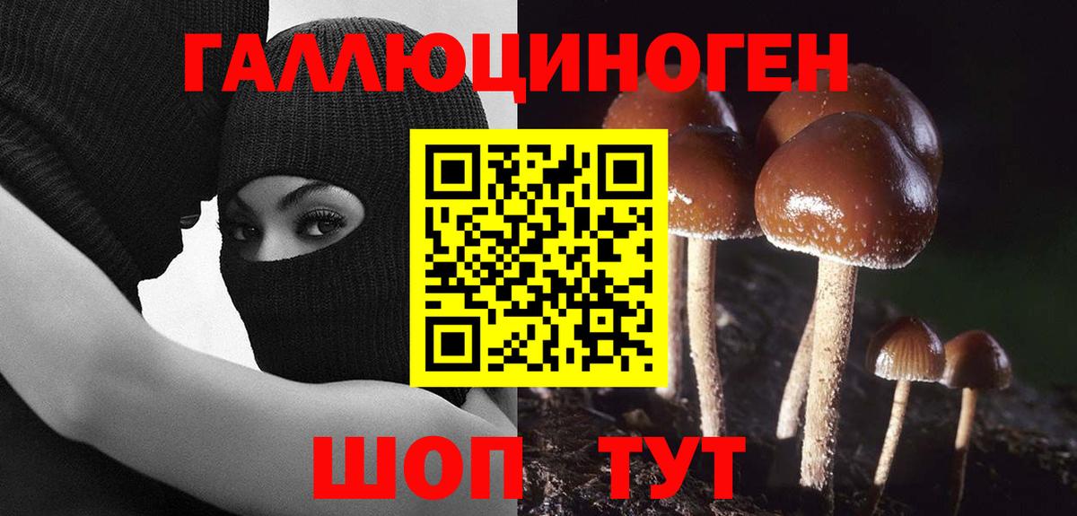 Тулун  Псилоцибиновые грибы мухоморы  Псилоцибиновые грибы Cubensis  Вход с VPN 